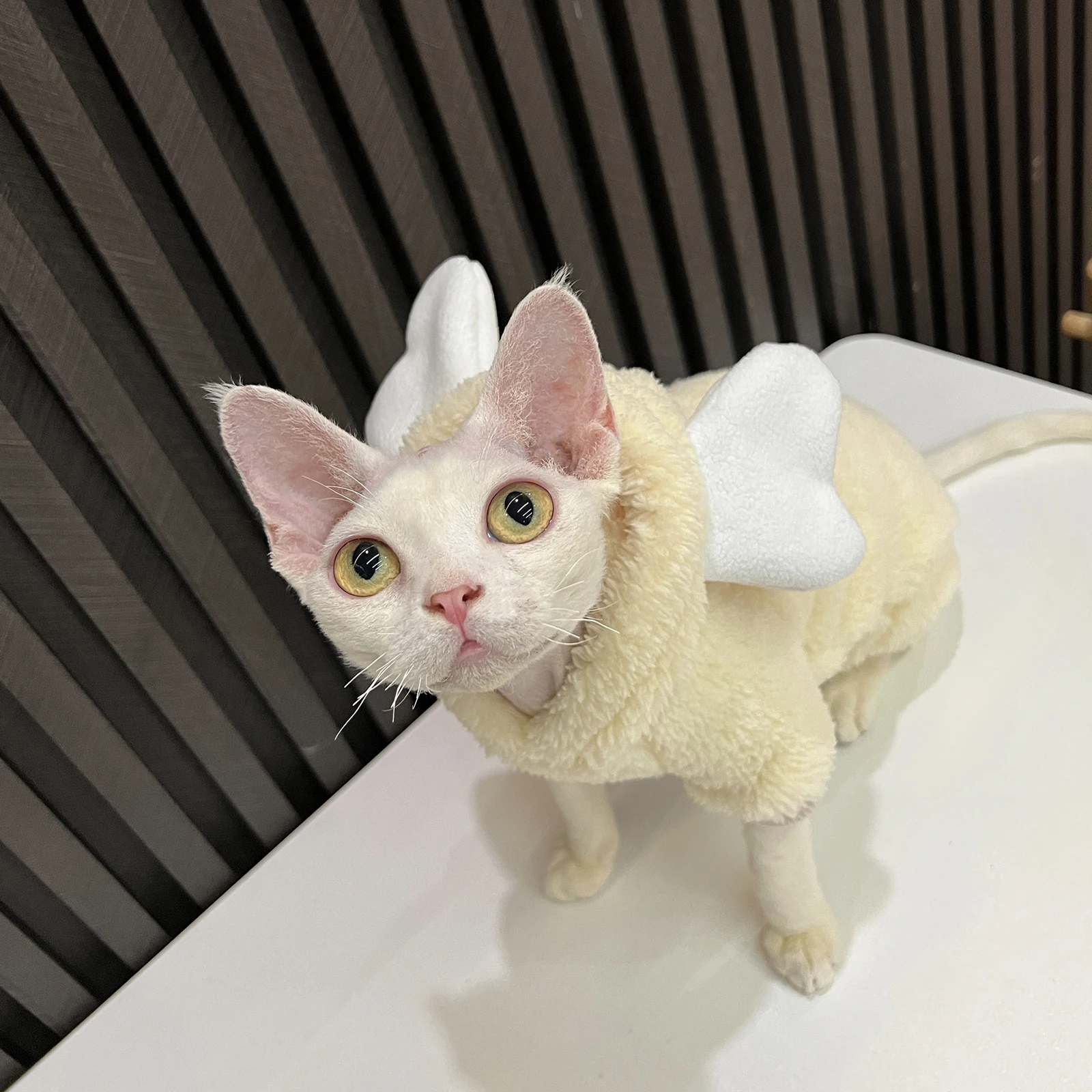 Cat Clothing Soft Winter Sweater for Sphynx Cat Warm Plush Loungewear for Kittens Cute Long Sleeves Coat Hat Suit for Devon Rex