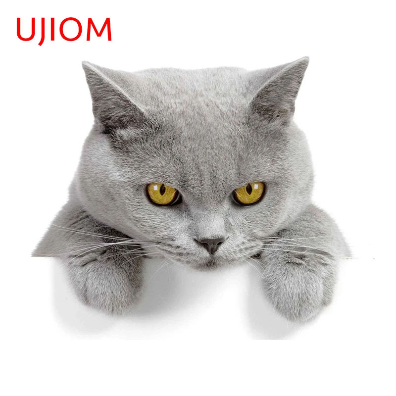 UJIOM British Shorthair Wall Sticker Window Glass Cute Applique Bedroom Waterproof and Scratchproof Living Room Dress Up