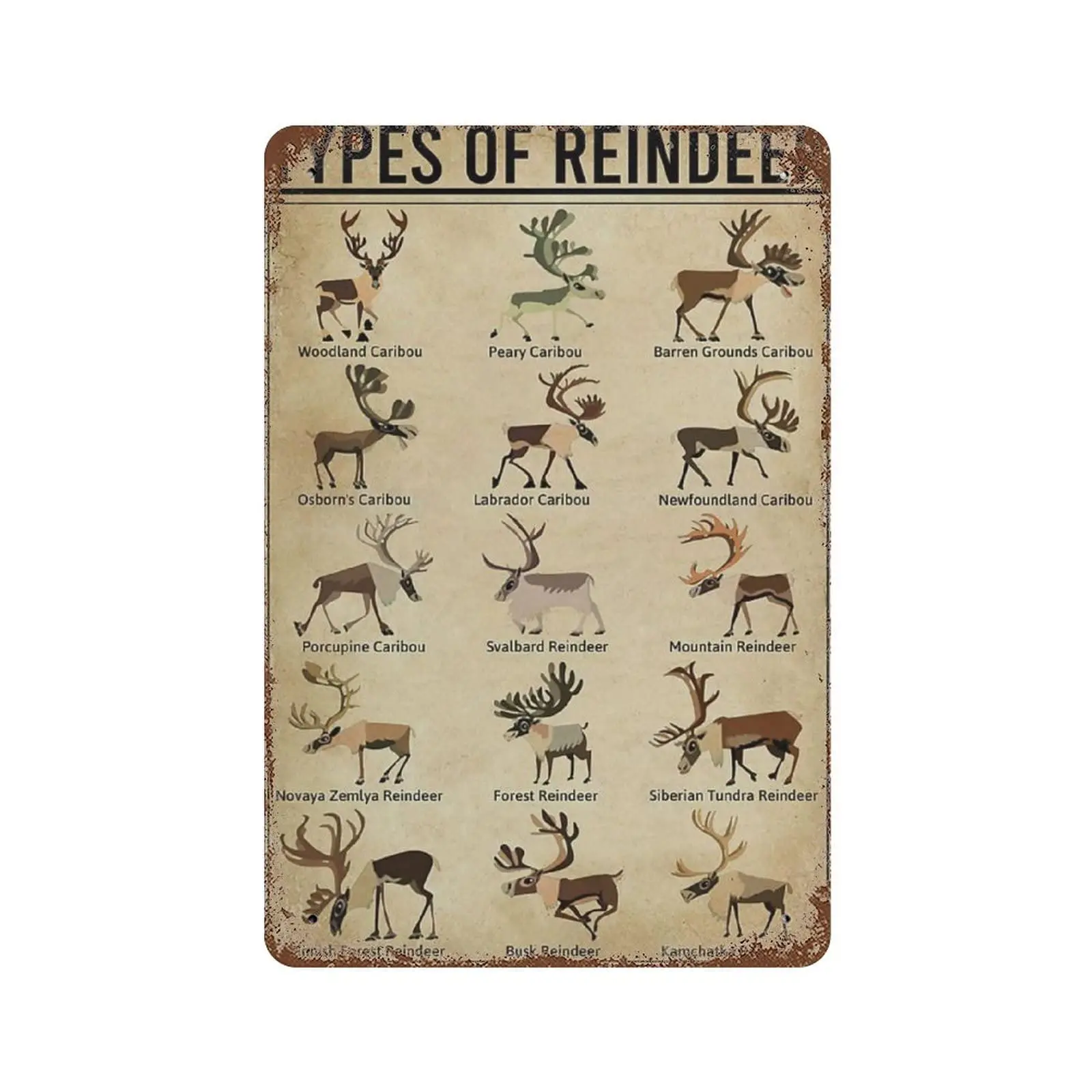 Vintage Metal Tin Sign Plaque,Types of Reindeer Sign,Man cave Pub Club Cafe Home Decor Plate，Birthday Anniversary Housewarming G
