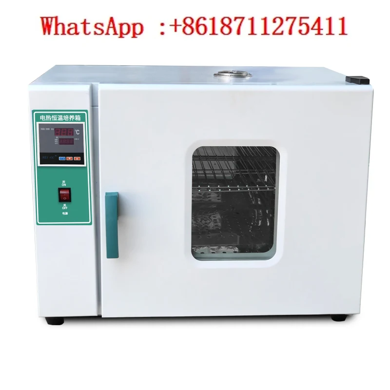303 electric constant temperature incubator laboratory microbial plant seed germination incubator