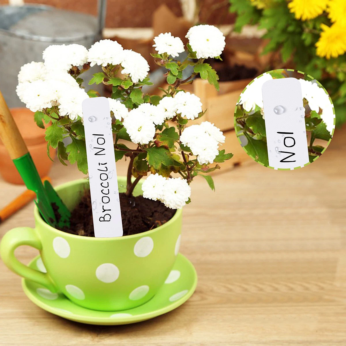 100Pcs Waterproof Plastic Plant Labels Colorful Garden Seedling Markers Reusable Nursery Flower Vegetable Name Tags