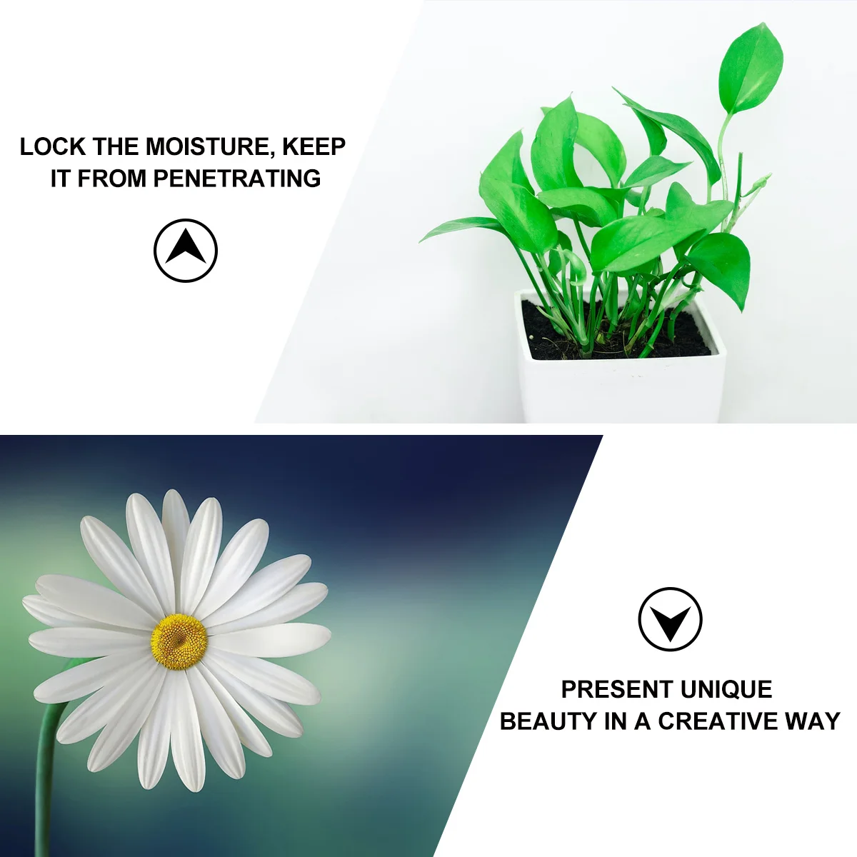 50 قطعة أنبوب حفظ الزهور من البلاستيك الشفاف حاوية تغذية المياه المقاومة للتسرب لنقل التخزين الطويل