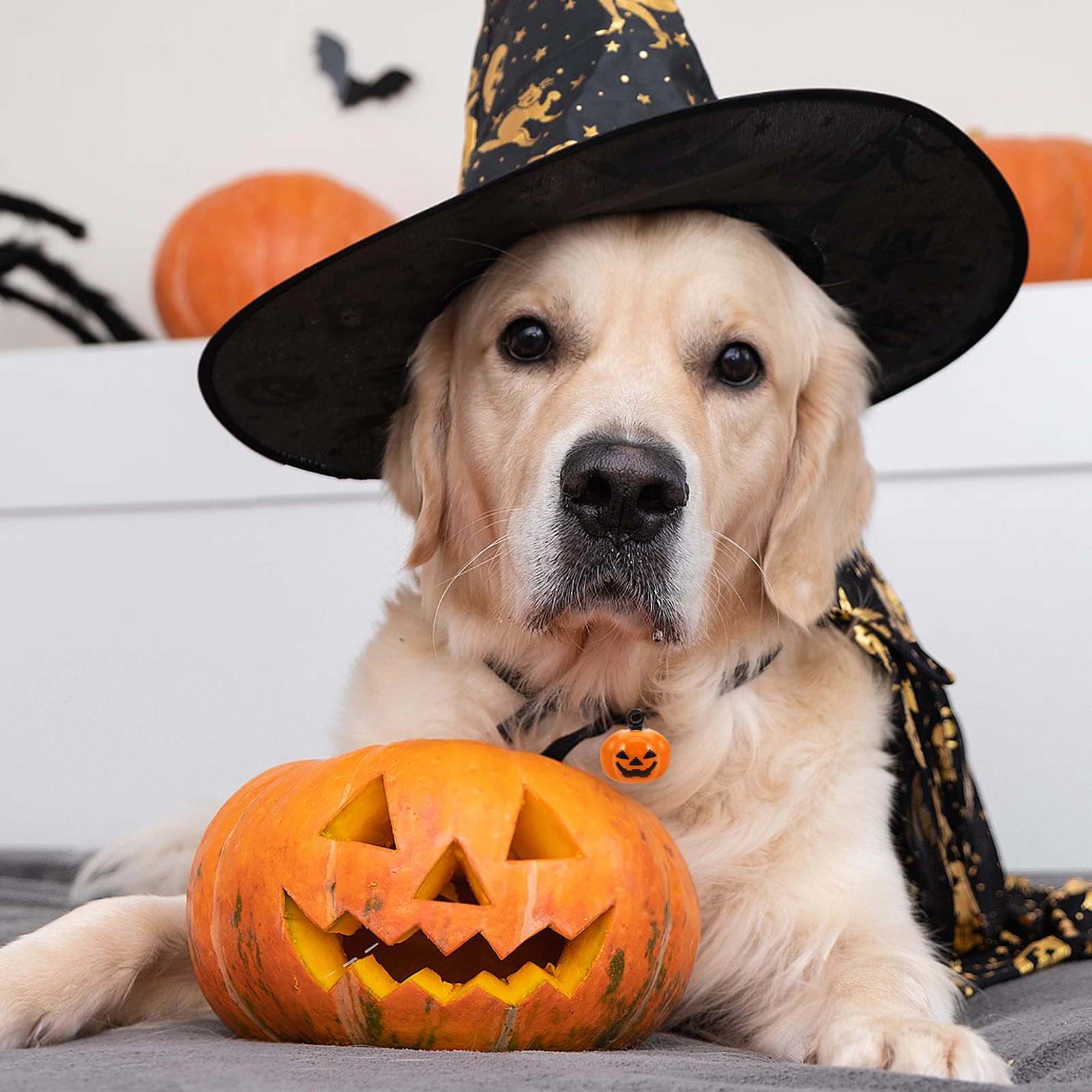 

5pcs Pumpkin Shape Copper Pet Bells Cartoon Dog Cat Durable Quick Release Buckle Halloween Decoration Orange