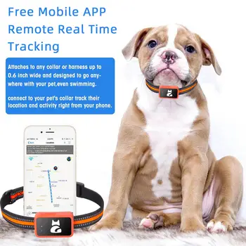 4G GPS寵物追蹤器語音監控器寵物狗貓GPS防丟迷你追蹤器IP67防水GPS定位器免費APP電子圍欄 8 最佳銷售 狗狗GPS - №4