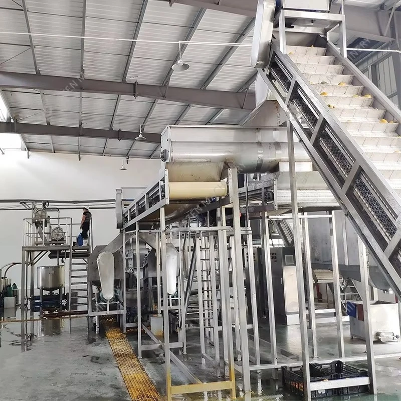 Complete Tomato Sauce Ketchup Filling Capping Labeling Production Line Turnkey Solution Commercial Sale Support Custom