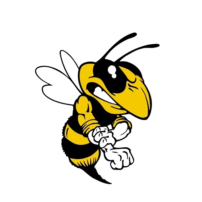 

Автомобильная наклейка с рисунком Angry Bee, автомобильная наклейка, бампер, окно, шлем, наклейка, ПВХ, солнцезащитный крем, водонепроницаемый, 15 см