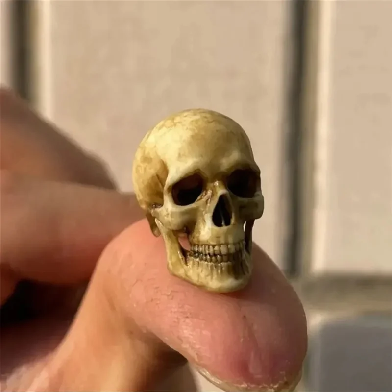 X18A-Figurines 1:12 Schaal Miniatuur Schedel Modellen Hoge Kwaliteit Voor Halloween Voor Huisdecoratie Poppenhuis Planten Aquariums