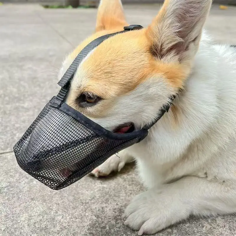 NEU 2026 Hundemaulkorb aus Mesh für große Hunde – Atmungsaktiver Anti-Ess- und Anti-Bell-Maulkorb für Golden Retriever – Bissfeste Haustiermaske – Detail 6