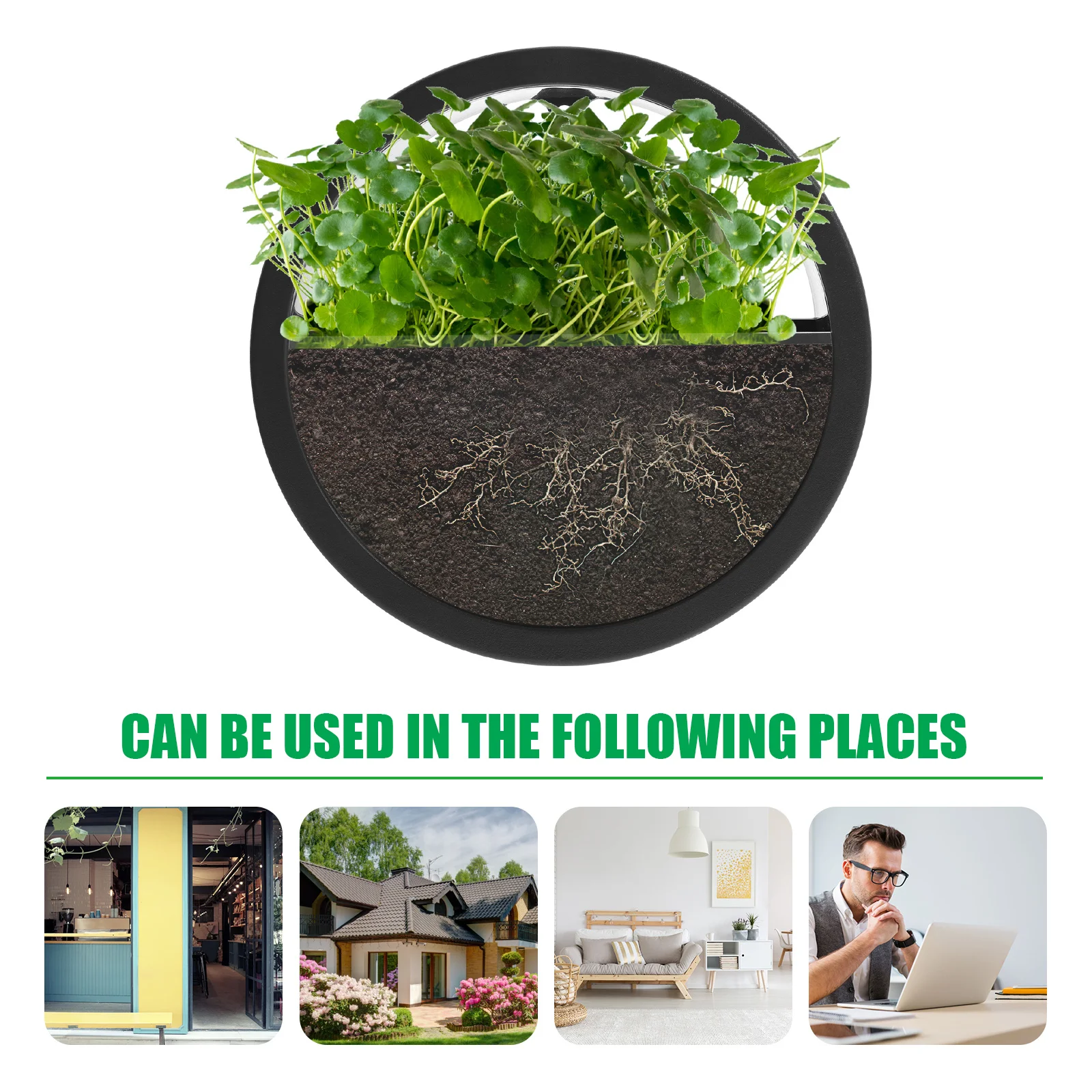 

Wall Hanging Flower Pot Medium Grey Round Creative Design Transparent Glass Decorative Flowerpot Office Living Room Home Decor