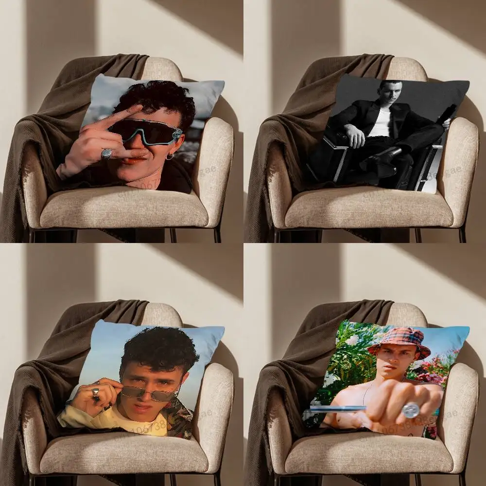 

Singer A-Aron P-Piper Pillow Case Living Room Sofa Cushion Cover Suitable For Home Bedroom Decoration And Protector