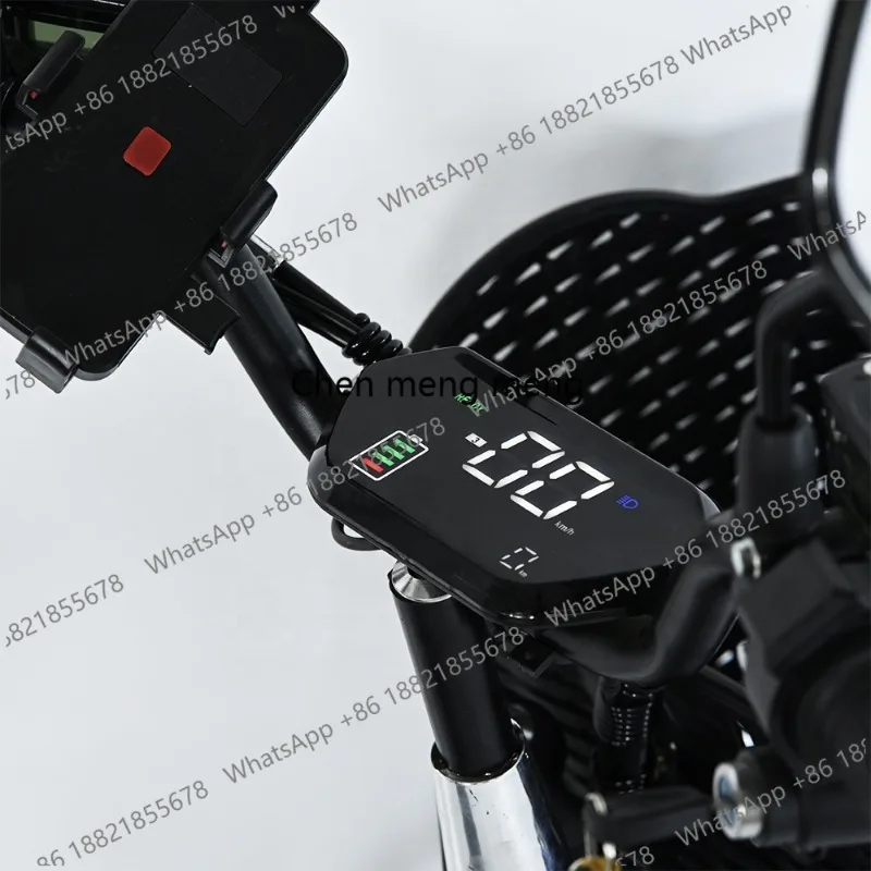 hot selling Electric Delivery Bike Popular Supplier 1000w 800w Electric Motor Bike Fast Electric Bicycles for Adults - view 4