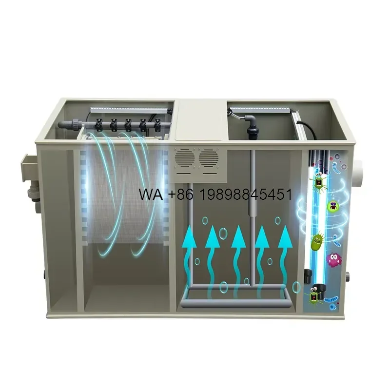 Wmwmnu for RAS Automatic Combi Drum Filter Koi Fish Pond Bio Filter with UV K5 K1 Media Aquaculture Equipment Hot Sale