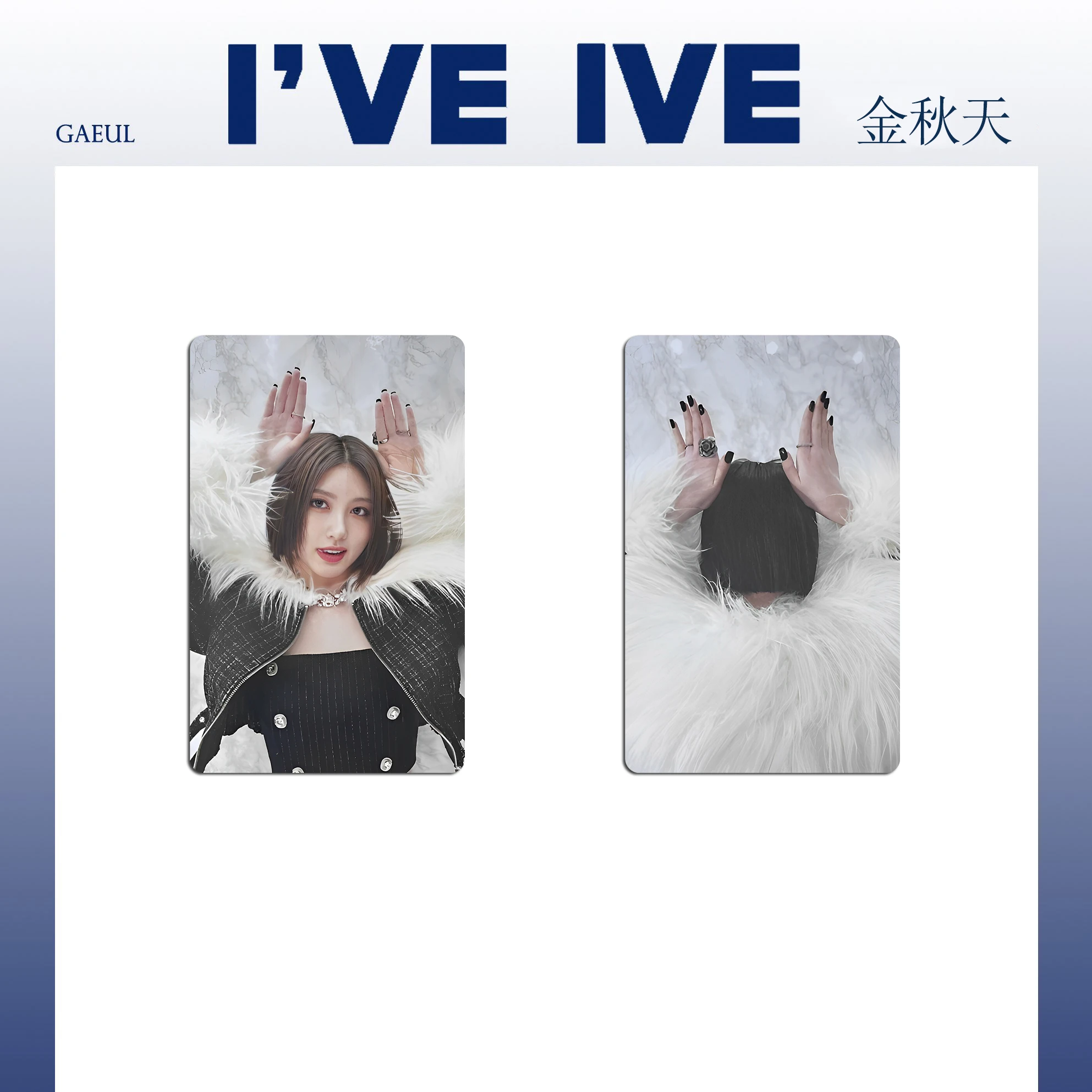 Faux Fur Coat Style Collectible Lomo Photo Cards Paper Cards for Album Journal Collection Hobby Gift