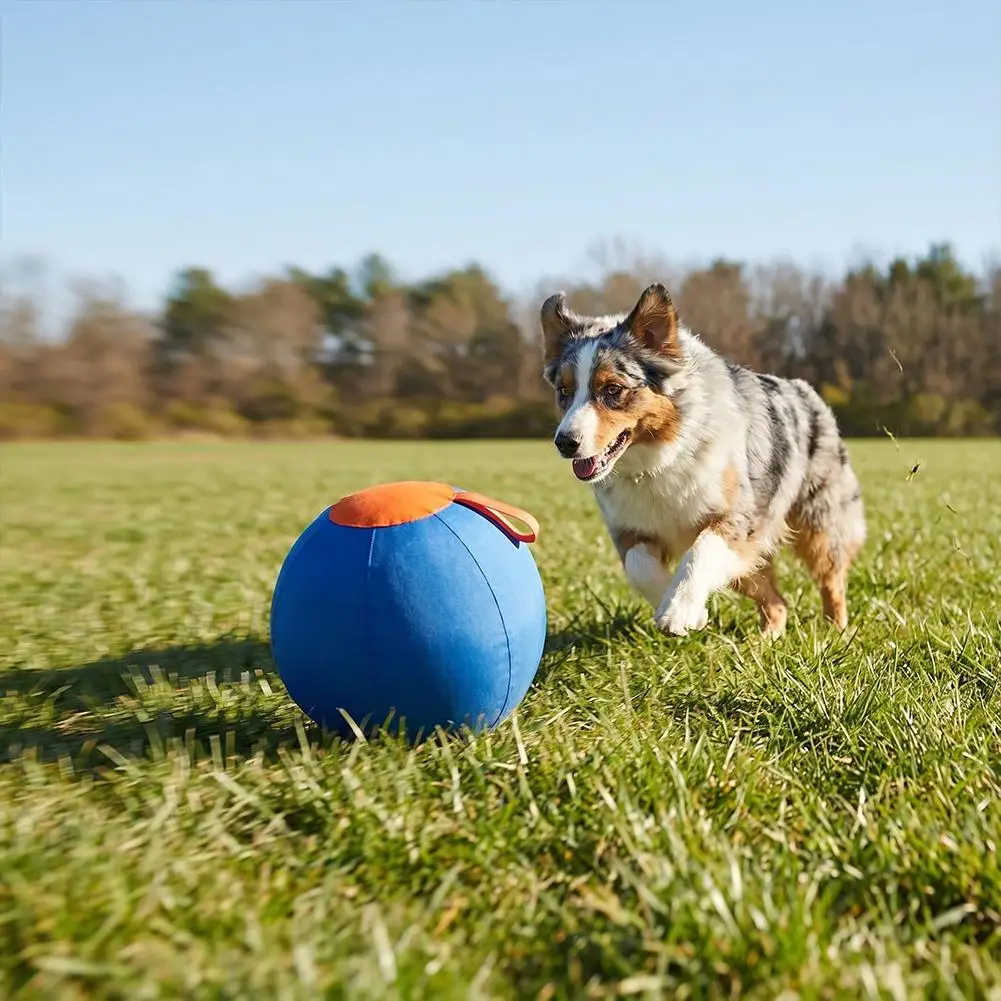 Dog Giant Toy Ball With Protective Cover Tear-resistant Interactive Game Toys Heavy-duty Dog Exercise Ball With Handle