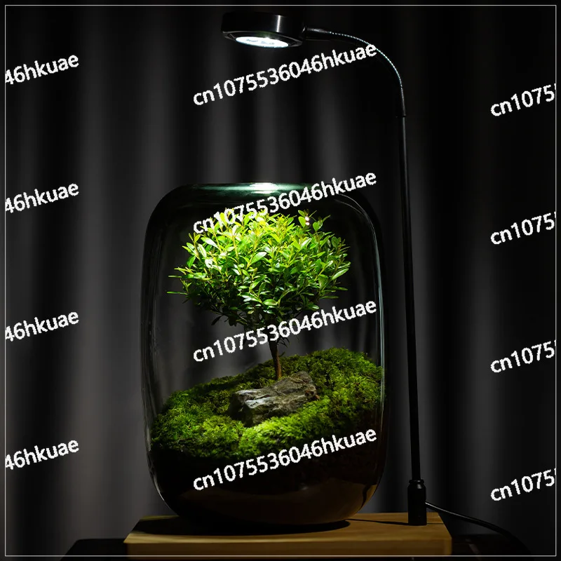 Creative Desktop Micro-landscape Vase DIY Green Plant Ecological Moss Lazy Landscaping Vase Modern Simple