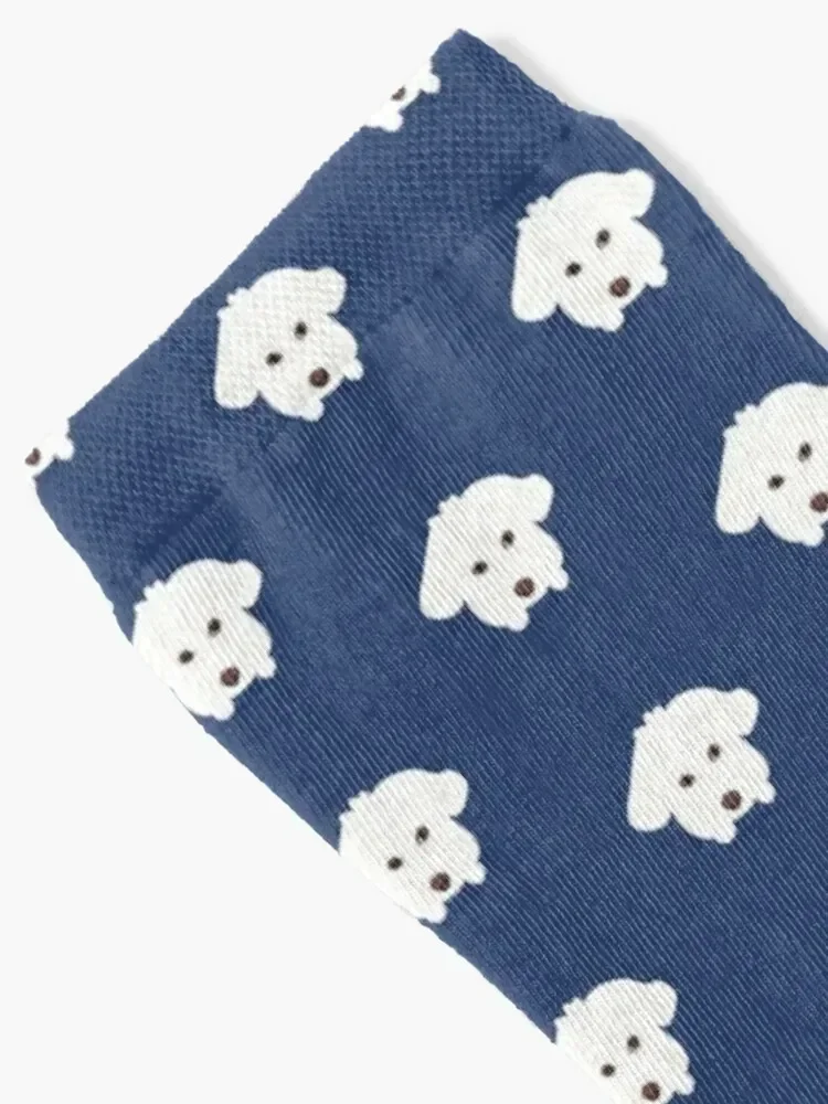 Innocent Maltipoo Socks shoes Stockings Socks For Women Men's