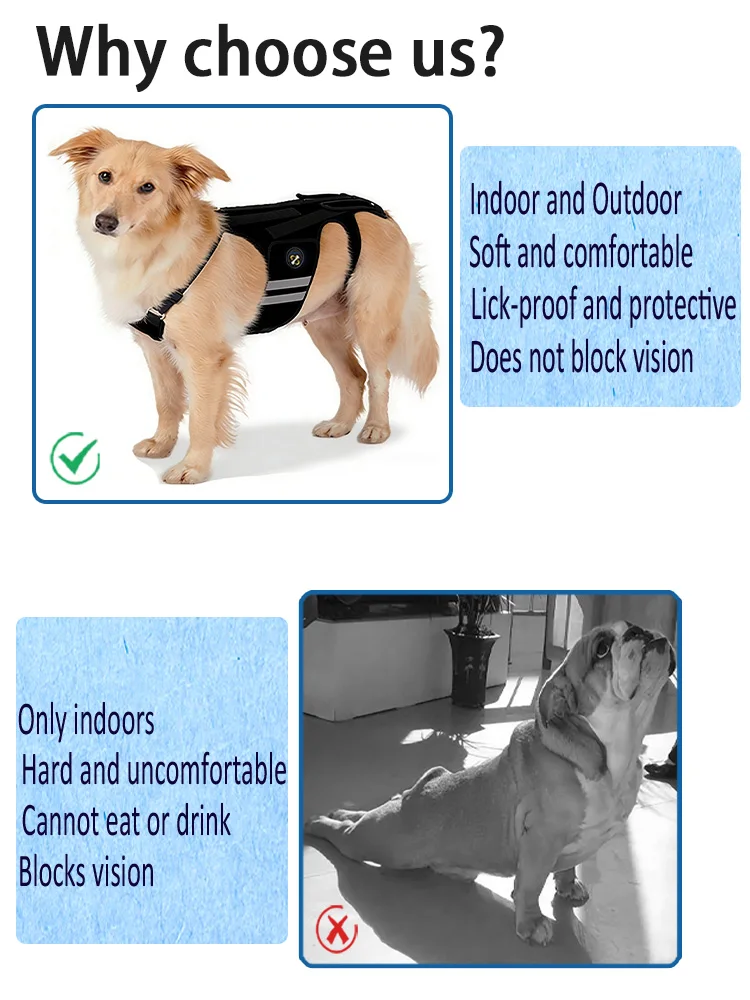 Coodeo Rückenstütze für Hunde mit Arthritis, Rückenbandage für Haustiere bei IVDD, Rückenprotektor zur Schmerzlinderung, Genesung nach Operationen und Rehabilitation. – Detail 6