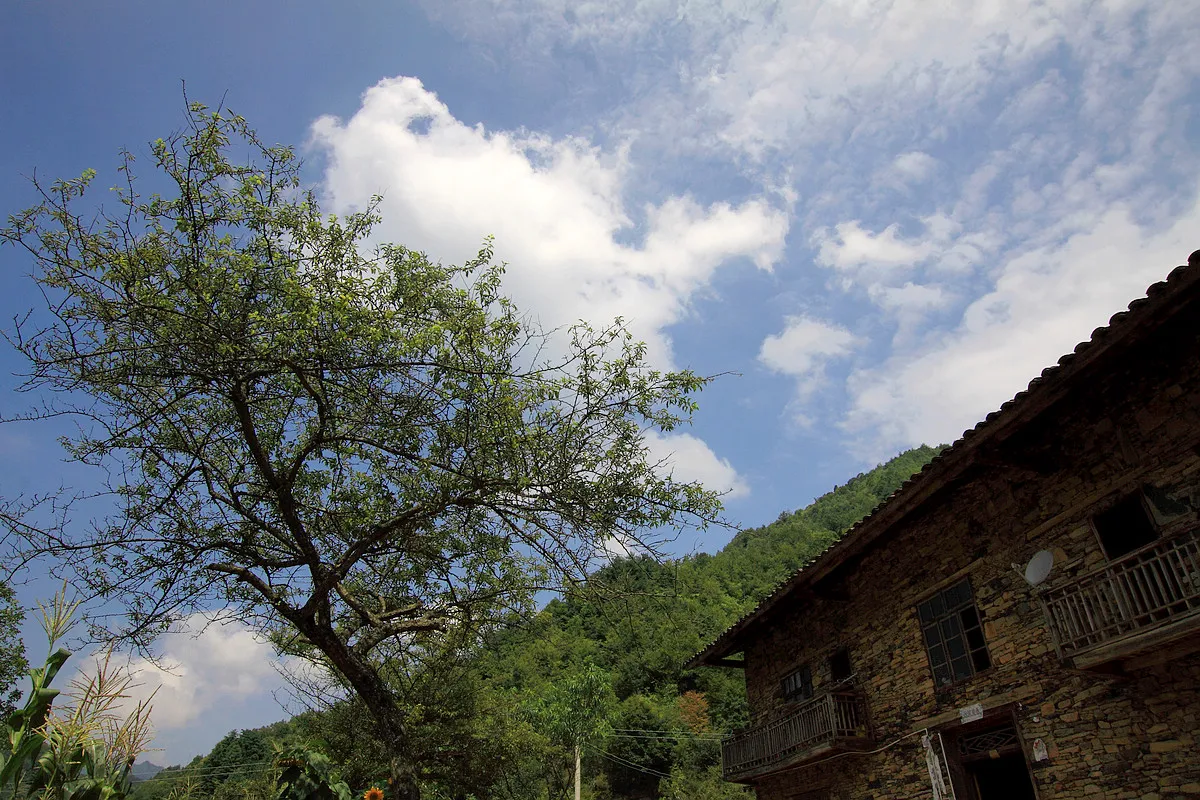 For Mjx Hyper Go 14… - image