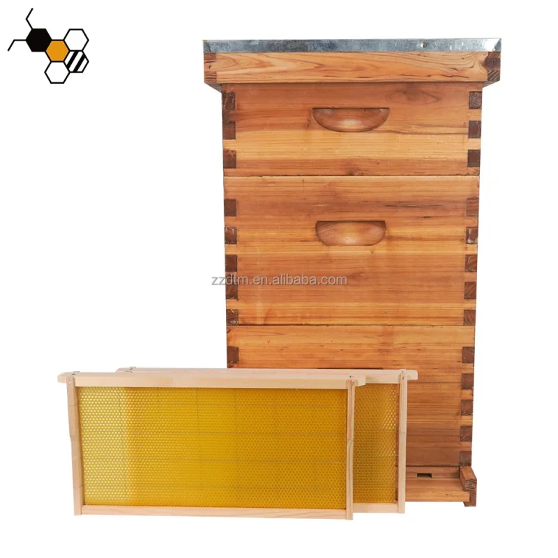 

High-Quality 30-Frame Bee Hive Kit With Multi-Sweet Wax Coating, Wooden 3-Layer, New Condition