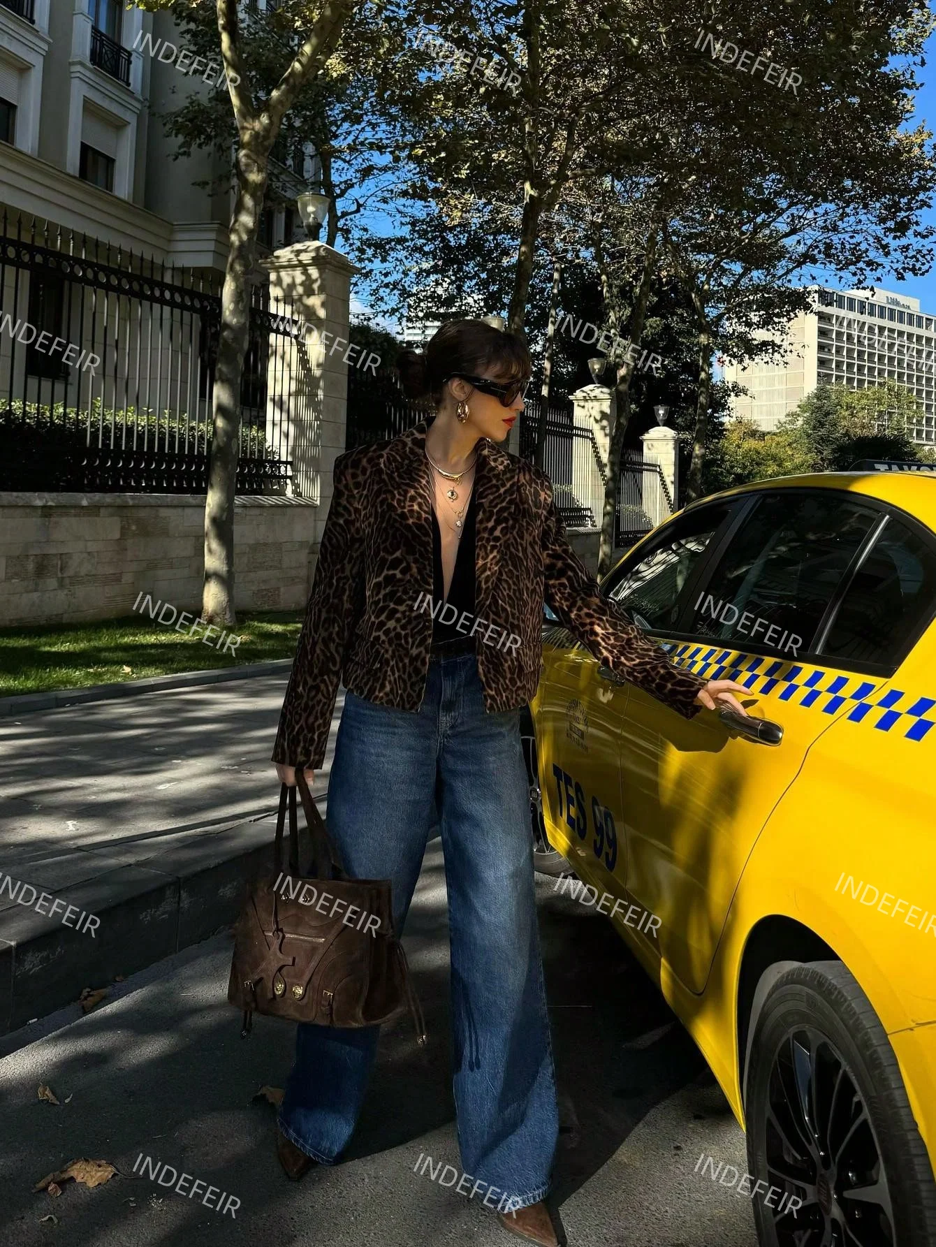 Indefeir Women's Spring New European and American Style Fashion Leopard Print Velvet Print Blazer
