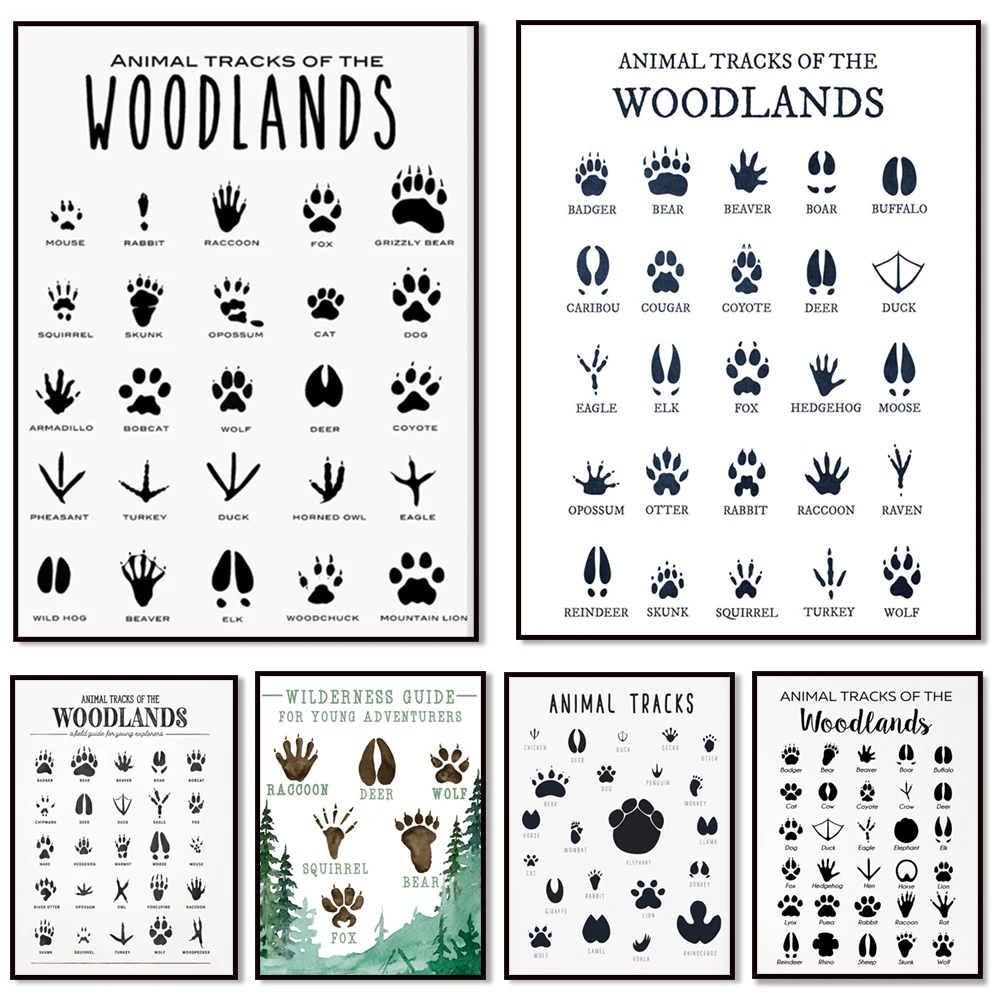 Let's learn animal tracks! Woodland animal footprints, animal footprints, field guide, boy woodland nursery decoration poster