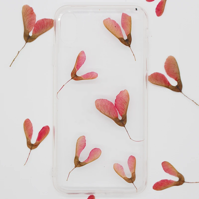 

12pcs/3-5cm,Acer fruit pressed flowers,real plant dried flowers DIY mobile phone case photo frame aromatherapy candle materials