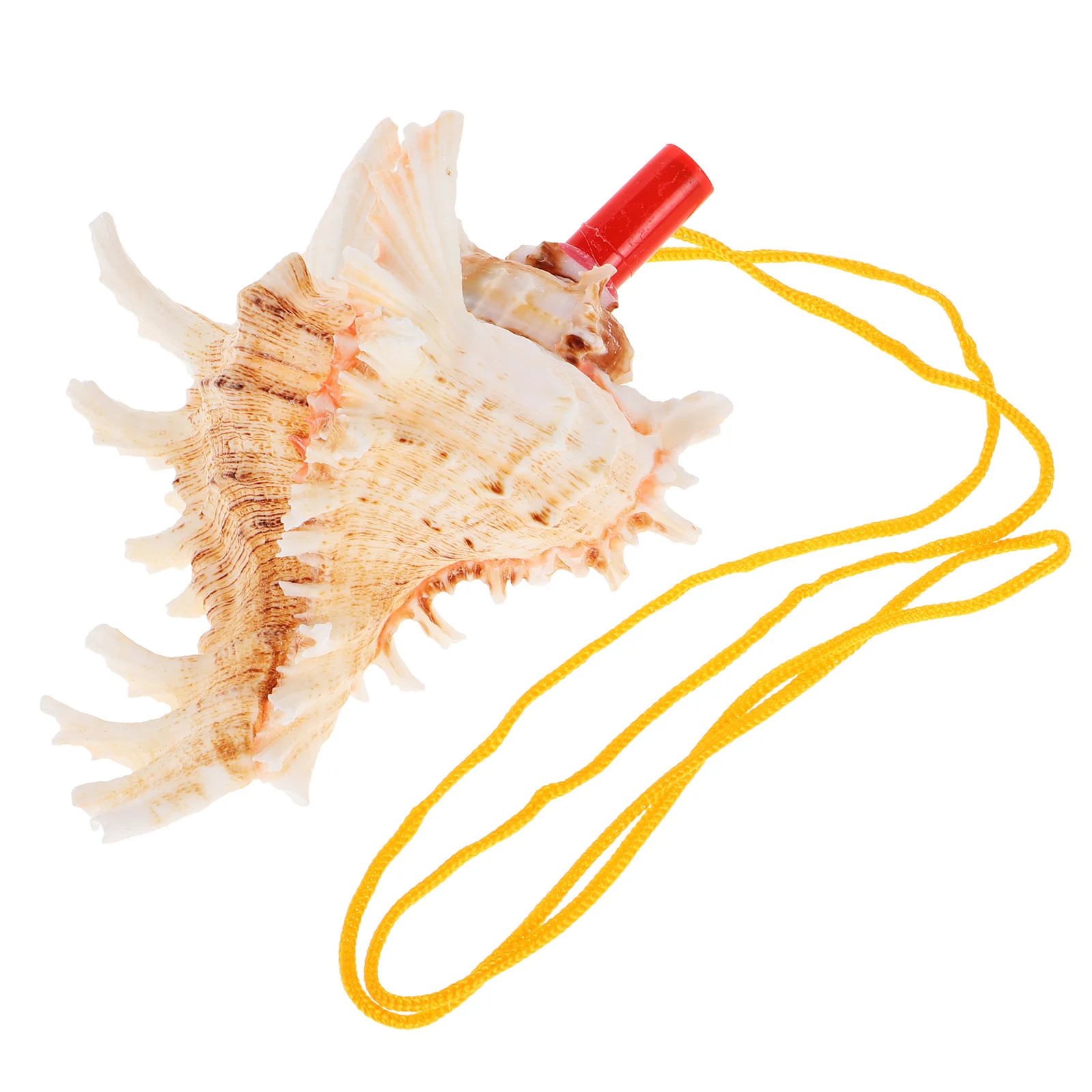 

Sea Shell Conch Horn Natural Large Sea Conch Sound Instrument Beach Music Instrument Birthday Party Favor Travel Tourism