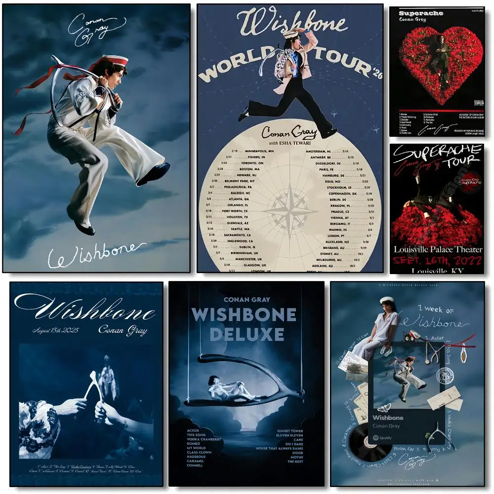 Singer Conan Gray Wishbone Poster HD Wall Art Aesthetic Home Decor for Living Room Bedroom Café Office Stylish Gift