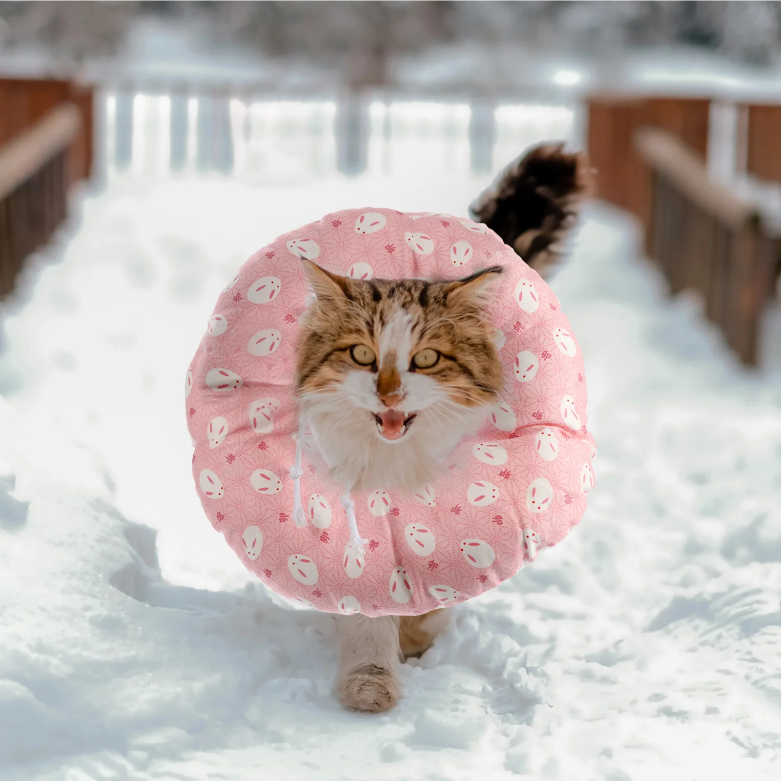 

Pet Recovery Collar Anti Licking Bite Scratching Protective Neck Circle For Cat Surgery Wounds Stitches After Operation
