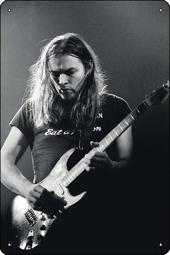 Gilmour Concert Poster Metal Tin Sign   Funny Man Cave Home Office Bar Decor