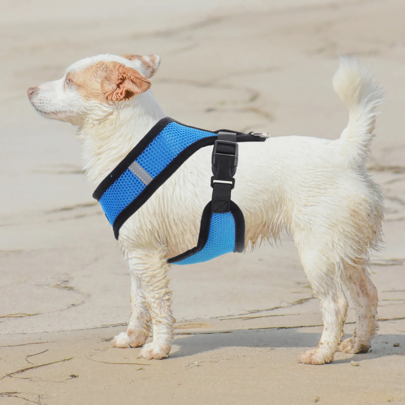 

4 set 4 Sets Harness Dog Harness Leash Polyester Mesh Small Dogs Chest Strap Walk Outdoor Pet Supplies Portable Lightweight