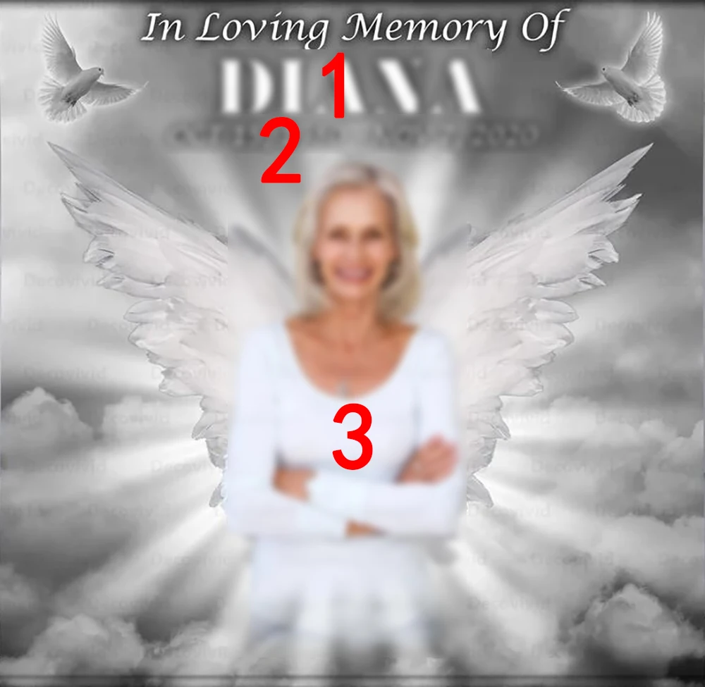 Custom Funeral Memorial Heaven Sent Celebratingc Memory Dove angel wings background Computer print party backdrops