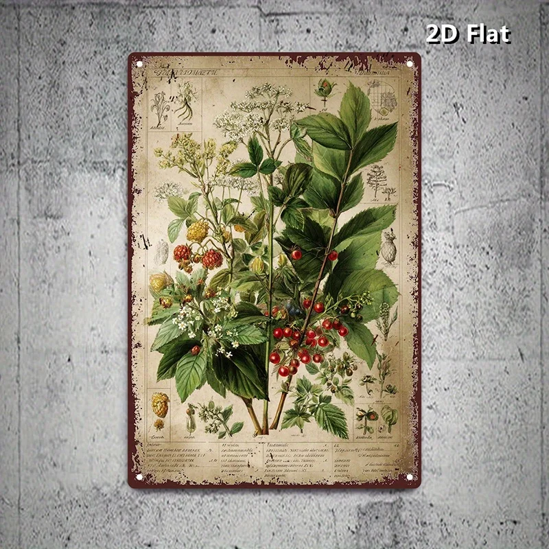 2D Flat, 2D Flat 1pc Vintage Botany Aluminum Sign, Nature Diagram Aluminum plate Wall Art Print, Herbal Study Aluminum Sign Deco