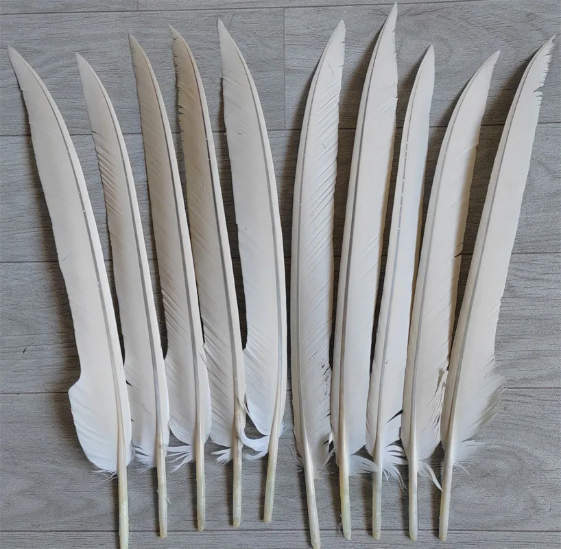 

10Pcs/lot 40-50cm long Rare Pretty Beige White Eagle Quill Feathers,Horse Eagle Feather Ornament Decoration Handicraft