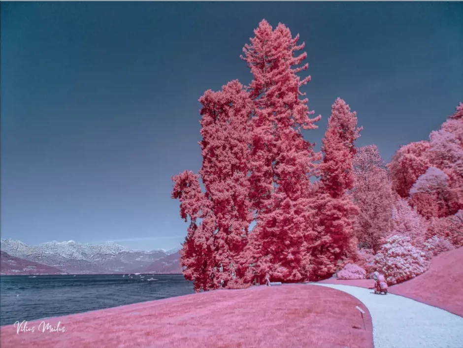 37 49 52 58 62 72 77 82mm 580nm Long‑Pass Infrared IR Cut‑On Filter for Infrared Photography Full‑Spectrum Modified Camera Lens
