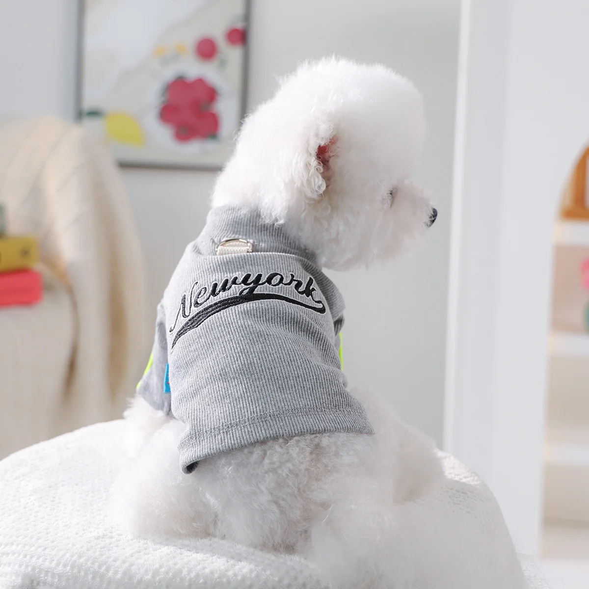 قطعة واحدة من ملابس الحيوانات الأليفة للقطط والكلاب، أكمام مخططة ملونة مريحة للفصول الأربعة، سترة قميص سفلية مع مشبك جر