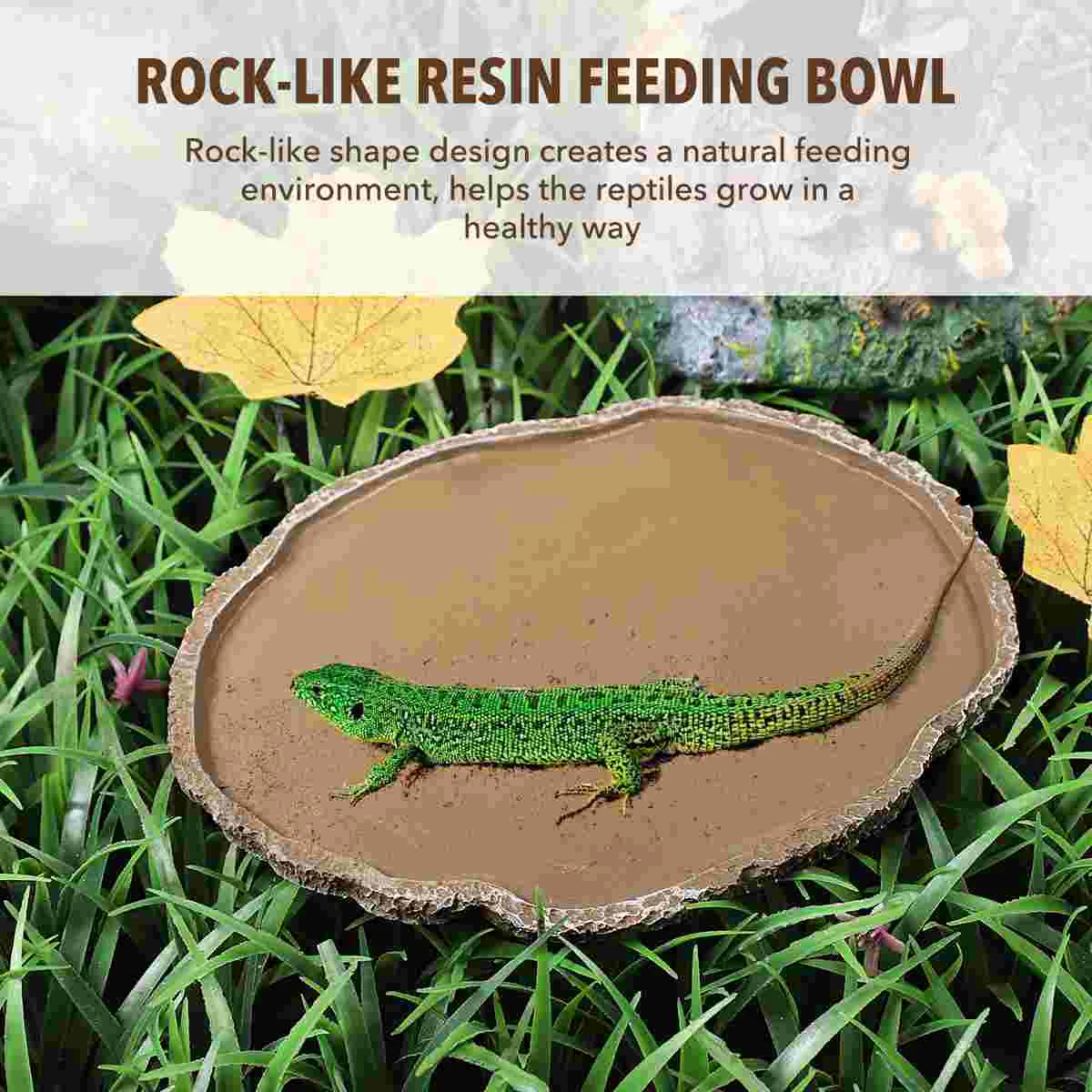 Glass Animal Reptile Fogger Shallow Dish Large Wooden Bamboo Breeding Tray Turtle Gecko Snake Pet