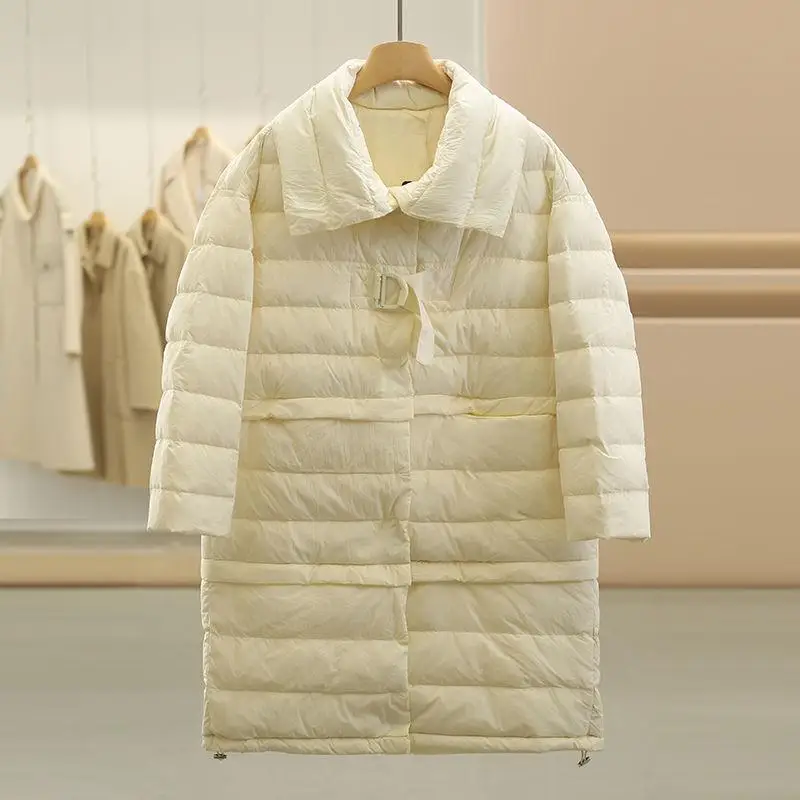 

Теплая женская пуховая куртка свободного кроя, модная повседневная верхняя одежда с воротником-стойкой, на молнии, из чистого пуха.