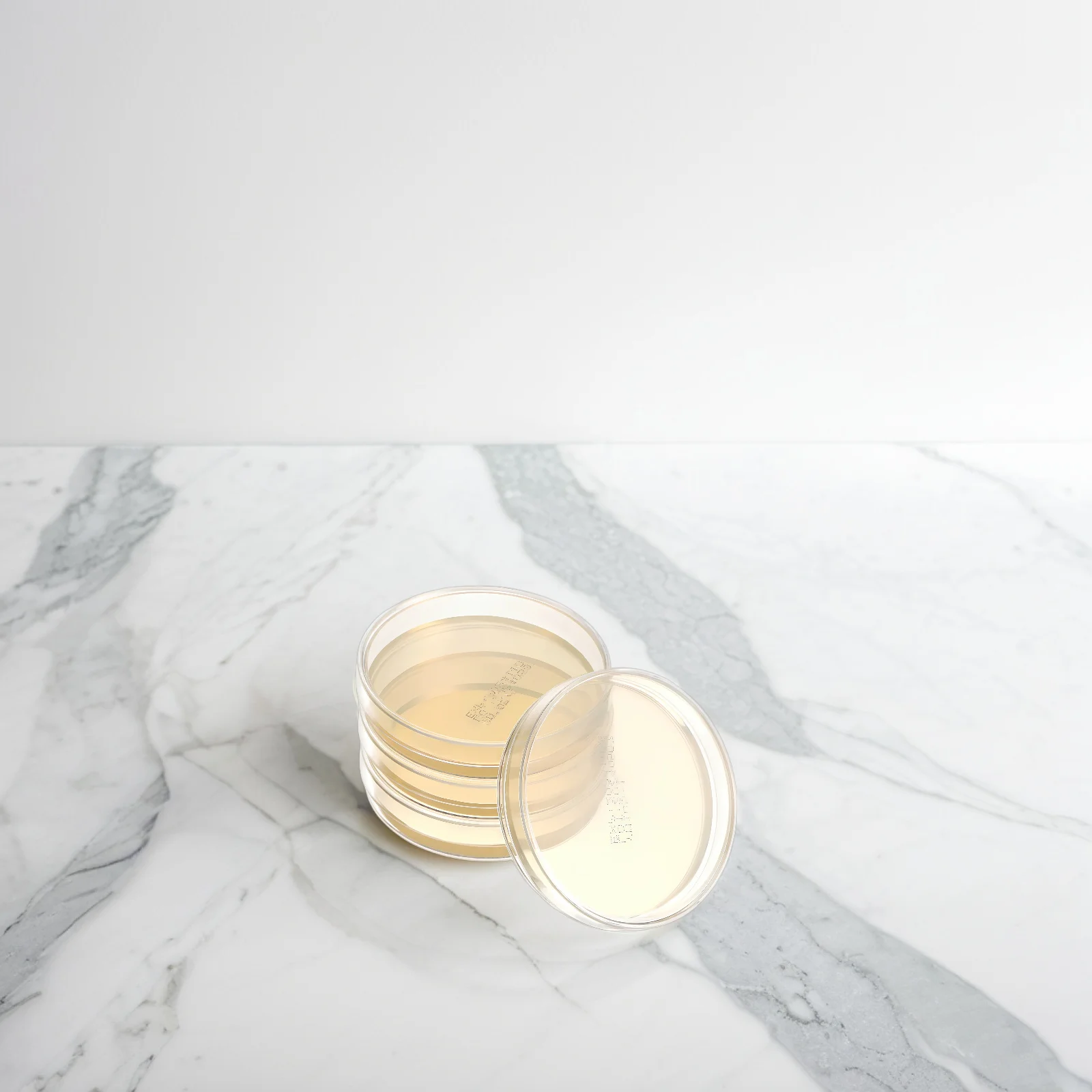 10 Pcs Nutrient Agar Plate Prepored Plates Flash Prepared Prepoured Petri Dishes Filled Dad