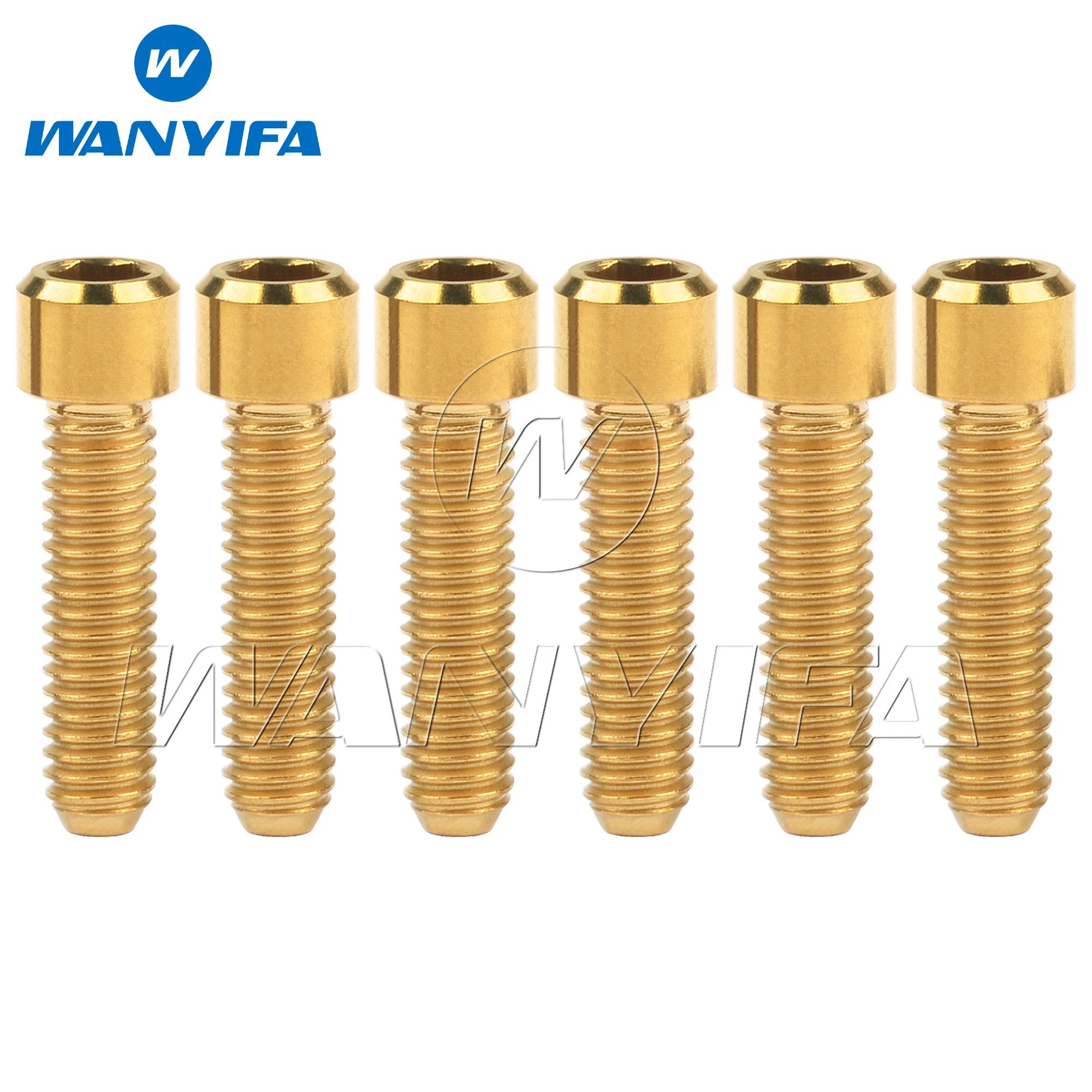 Wanyifa 6pcs Titanium Bolt M4x10 13.5 15 20 25mm Small Cap Hex Allen Head Screw for Bicycle Rear/front Derailleur H/L Adjustment