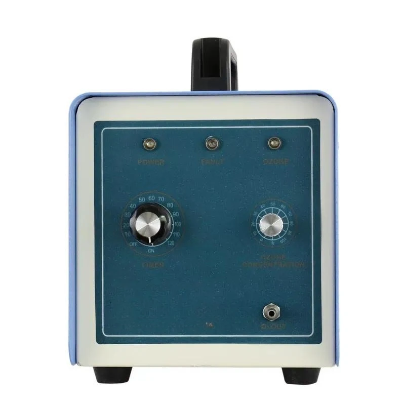 2G/h Ozone Generator for Cleaning Fruits Vegetables and Meat