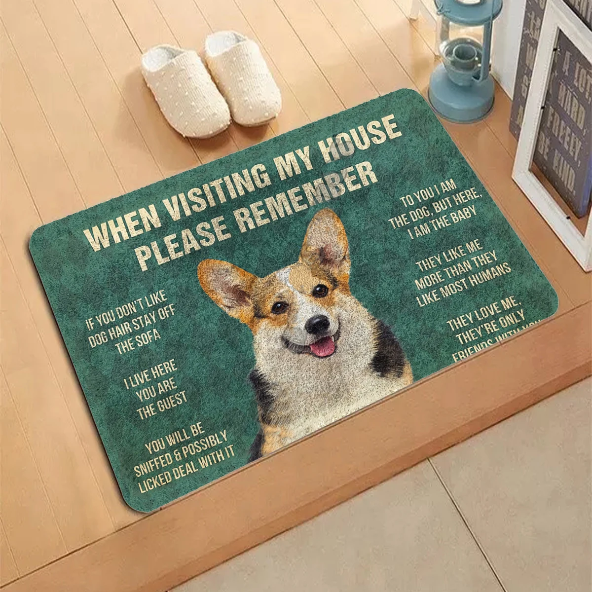 

welsh corgi pembroke Doormat 3D Decor Print Pet Carpet Soft Flannel Non-Slip Doormats for Bedroom Porch