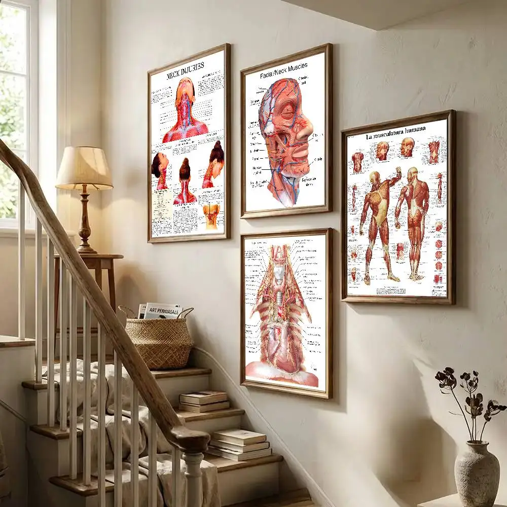Anatomy The Neck Muscles Head Face Muscles Overview Art Medical Poster Art With Prints Home Bedroom Living Room Decoration Gift