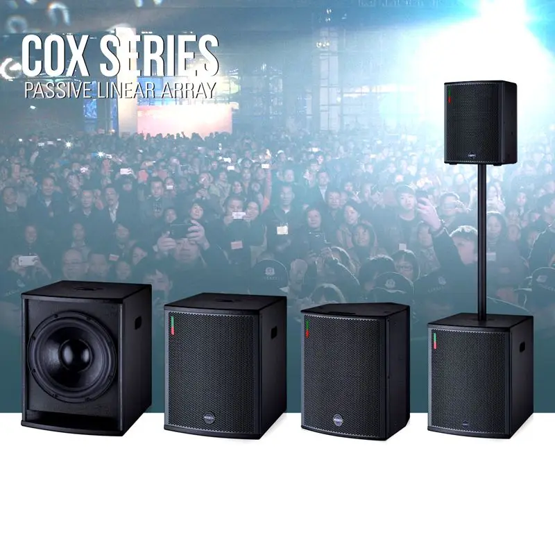 15 Inch Bass Speakers Subwoofer Box Design With Coaxial Horn 900w Ohm For Indoor & Outdoor Show COX-15+Sub view 3