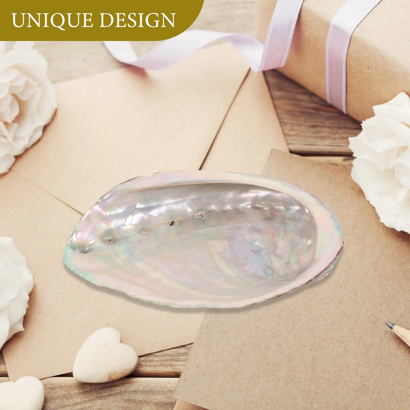 Natural Rough Abalone Shell Multi-Use Burning Container Aquarium Decor Home Desk Decorations Offering Holder Abalone Shell