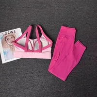 2PCS Women's High-End Yoga Workout Suit Fitness Set Sportswear Gym Clothing Set with Sports Bra And Leggings Set - Image 2