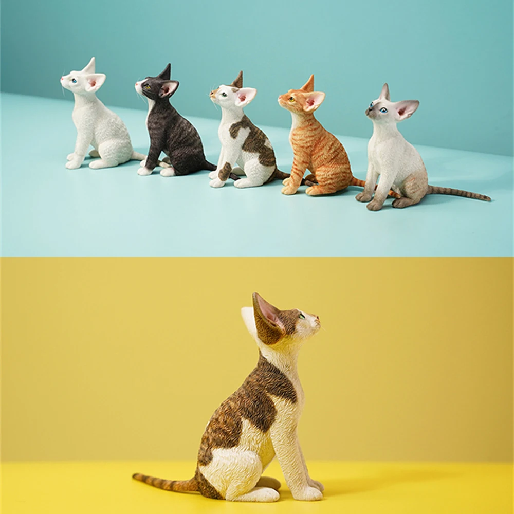 

JXK JXK123 1/6 Sitting Posture Devon Rex Cat Resin Static Mini Pet Model with Crown Creative Soldier Scene Decoration Accessory