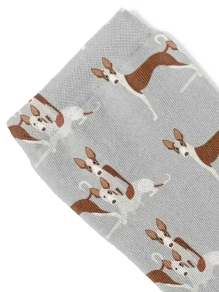 Ibizan Hound Dog Breed Socks colored halloween Women's Socks Men's