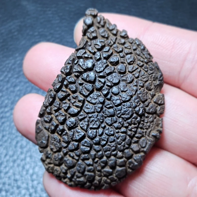 

Natural Grape-Shaped Black Mineral Stone Raw Specimen Unique Texture Collectible