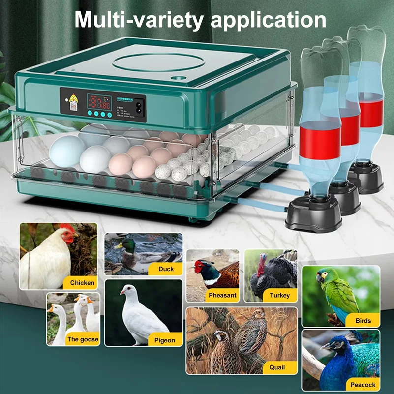 Egg Incubator Brooder Auto Turning Temperature Control Water Adding Poultry Hatching Machine for Chicken Duck Quail